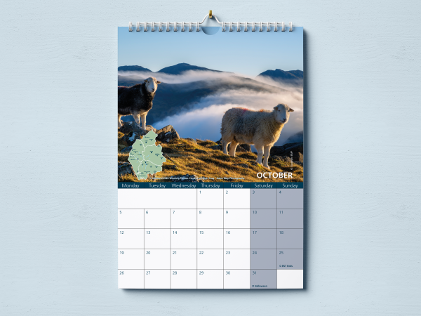 Calendar 2026 - Image 3