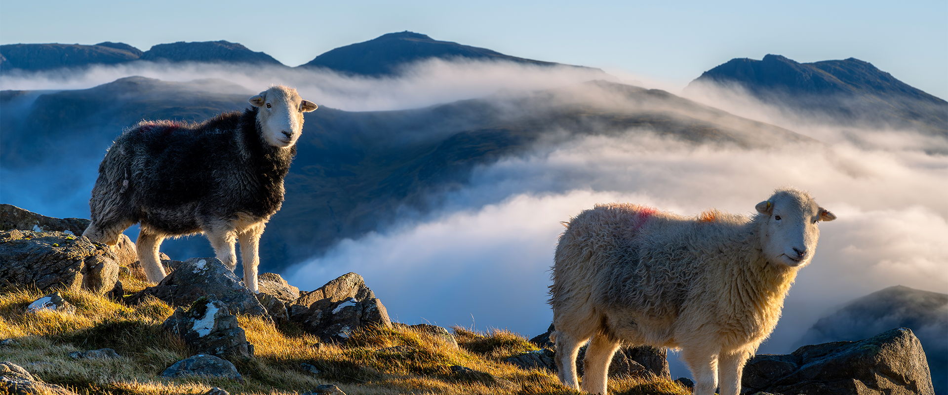 herdy’s on high grag by jason way photography
